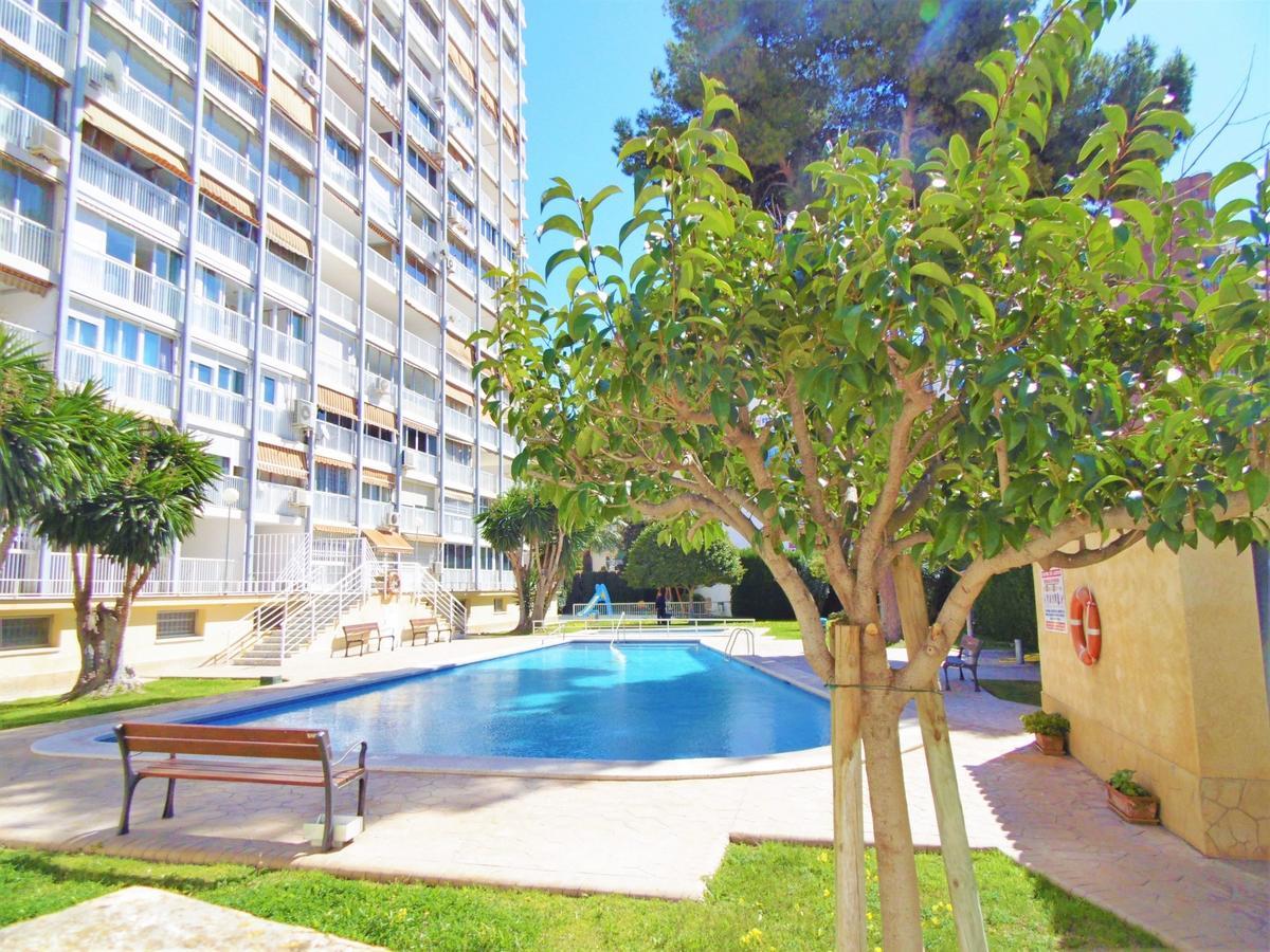 Albatros 13-1 Apartamento Benidorm Exterior foto